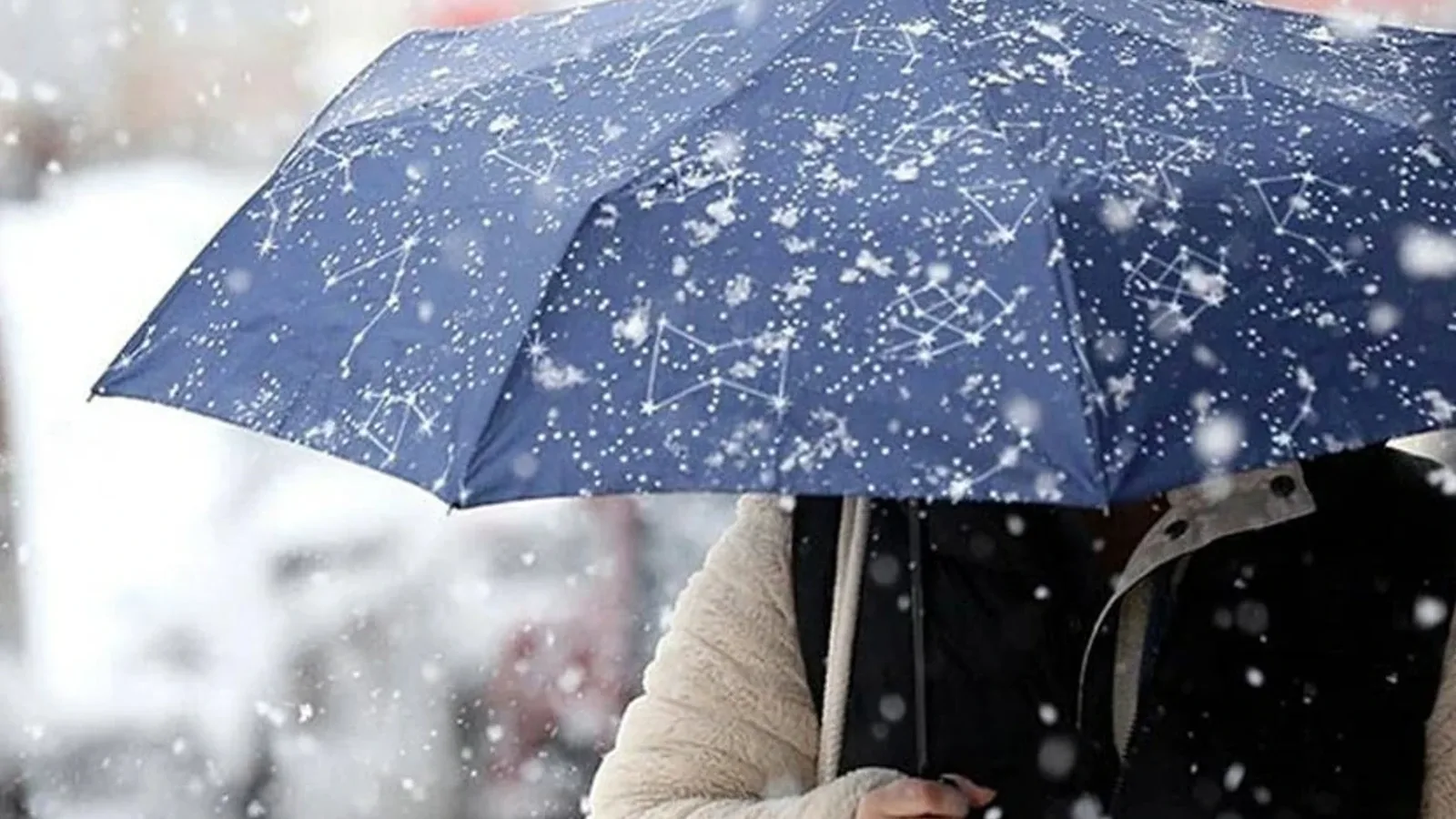 gewfewhbfeş! oqwfnıkpieqwnfpieqwn